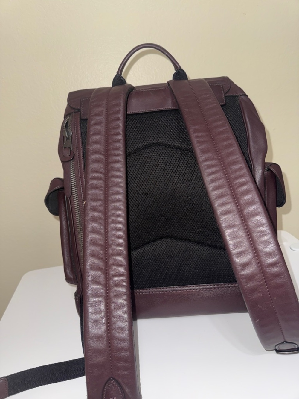Coach Leather Backpack - Picture 3 of 5